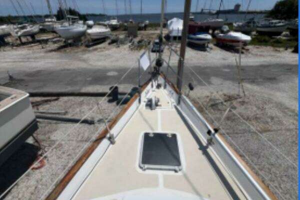 Photo of the 1985 Morgan 384