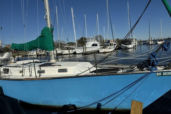 38ft Morgan Yacht For Sale