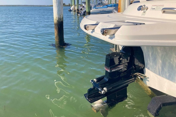 20ft Sea Ray Yacht For Sale
