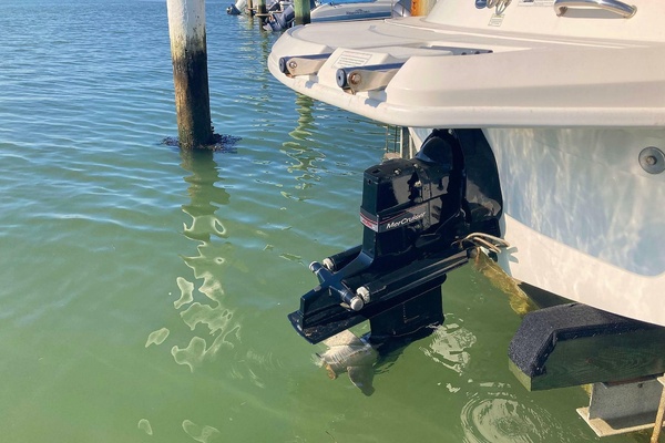 20ft Sea Ray Yacht For Sale