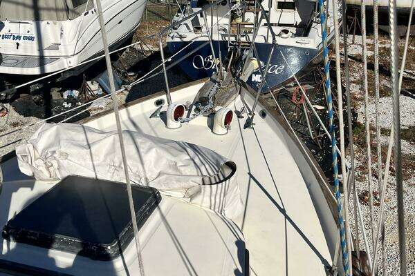 Photo of the 1980 Southern Cross 