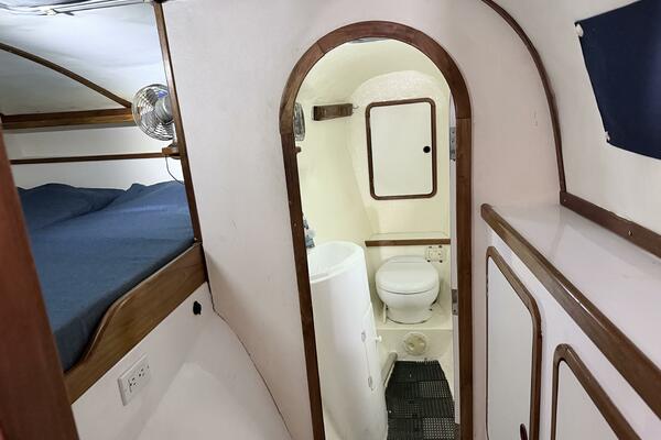 Ali Kat 35ft Wildcat Yacht For Sale