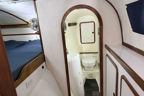 Ali Kat 35ft Wildcat Yacht For Sale