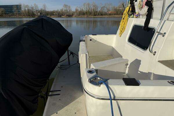 Photo of the 1998 Bayliner 4087 "Important Business"
