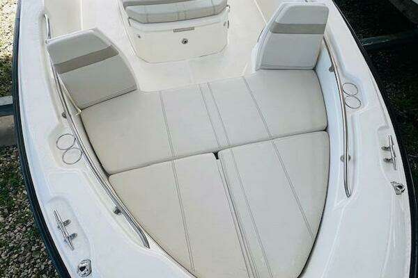 Photo of the 2023 Boston Whaler 250 Dauntless