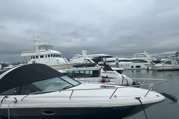 29ft Sea Ray Yacht For Sale 29ft Sea Ray Yacht For Sale