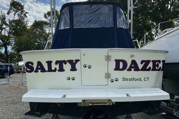 Photo of the 2005 Mainship Rum Runner 2 "Salty Dazed"