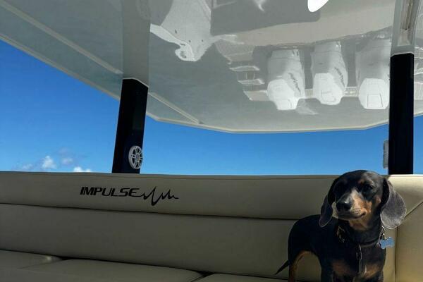 Impulse Boat St Martin Caraibe