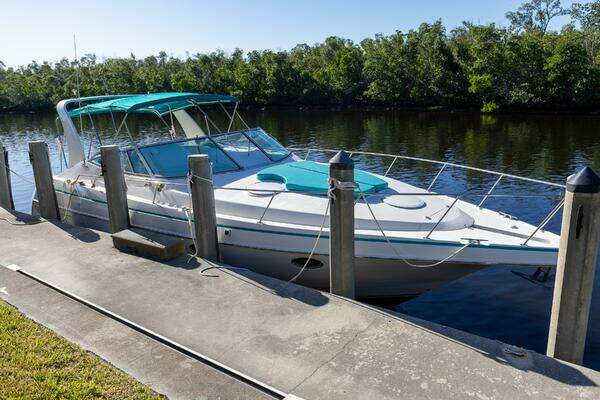 Photo of the 1995 Cruisers ESPRIT 3570