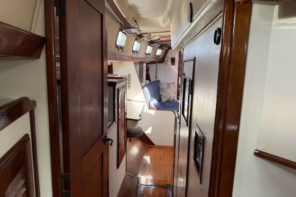 WILD THING 44ft Morgan Yacht For Sale