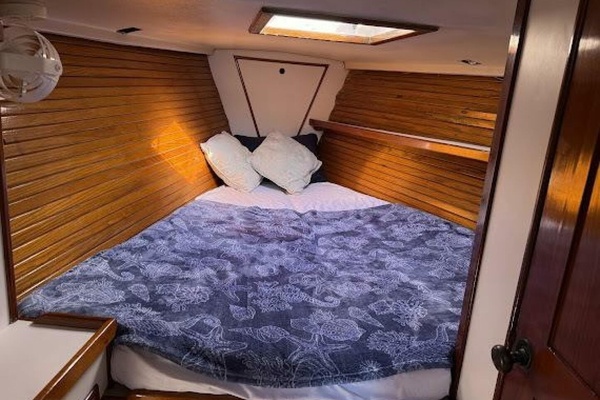 WILD THING 44ft Morgan Yacht For Sale