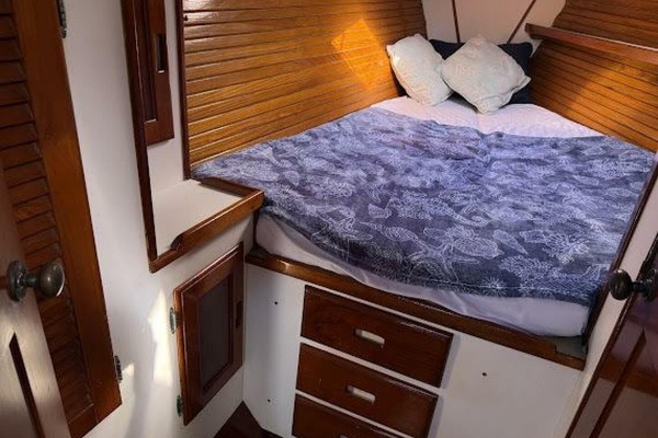 WILD THING 44ft Morgan Yacht For Sale