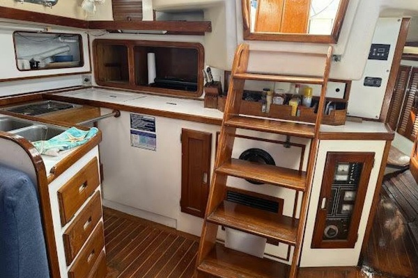 WILD THING 44ft Morgan Yacht For Sale