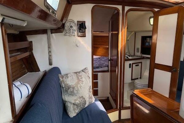 WILD THING 44ft Morgan Yacht For Sale