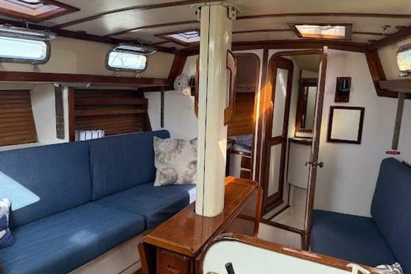 WILD THING 44ft Morgan Yacht For Sale