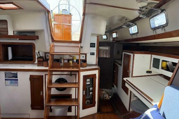 WILD THING 44ft Morgan Yacht For Sale