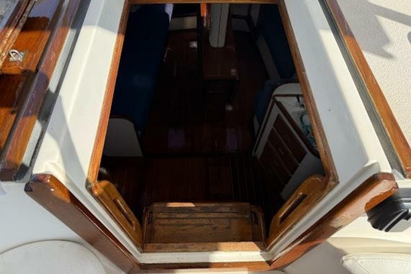 WILD THING 44ft Morgan Yacht For Sale