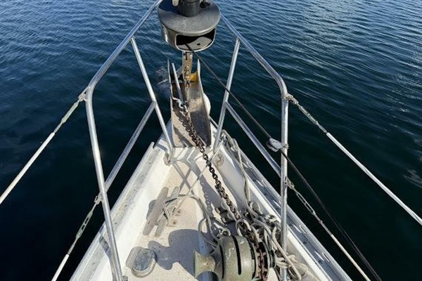 WILD THING 44ft Morgan Yacht For Sale