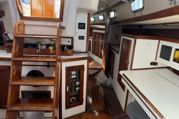 WILD THING 44ft Morgan Yacht For Sale
