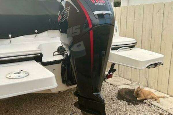 Photo of the 2022 Bayliner DX2000