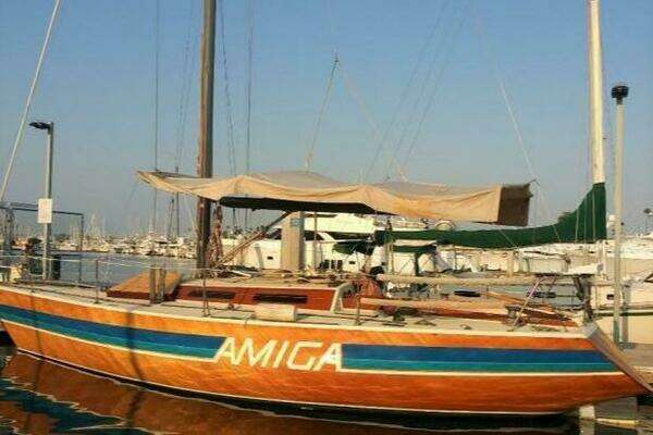 Photo of the 1980 Custom Doug Peterson