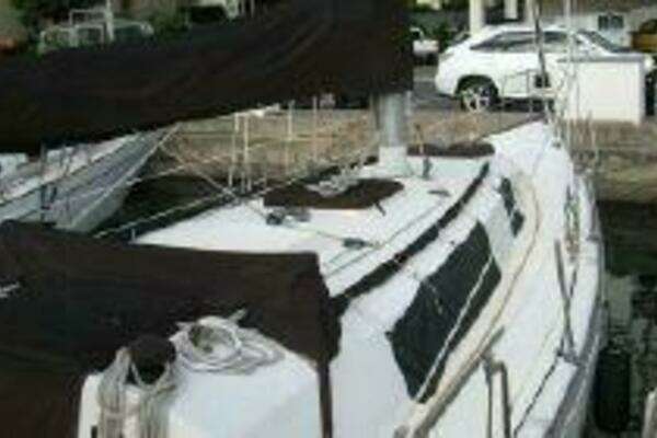 Photo of the 1981 Newport C and C Sloop