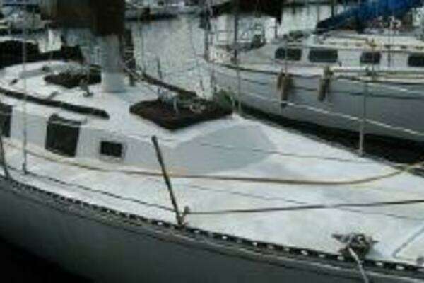 Photo of the 1981 Newport C and C Sloop