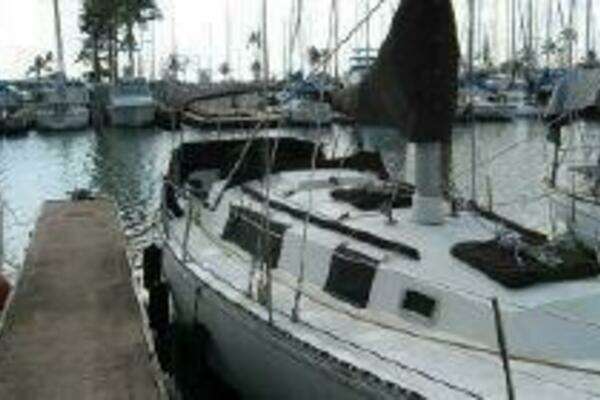 Photo of the 1981 Newport C and C Sloop