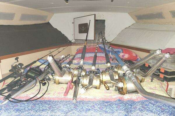 Photo of the 1988 Bertram 37 Convertible