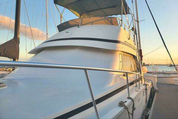 Photo of the 1988 Bertram 37 Convertible