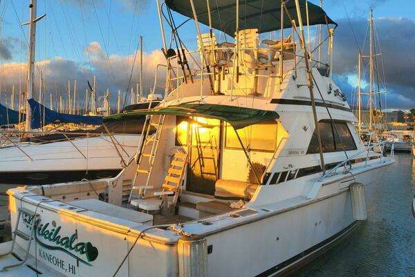 Photo of the 1988 Bertram 37 Convertible