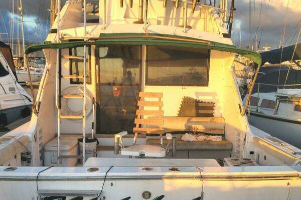 Photo of the 1988 Bertram 37 Convertible