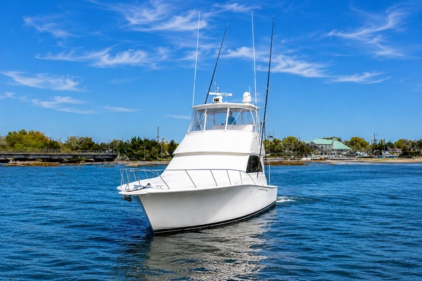 Clean Livin  45ft Viking Yacht For Sale