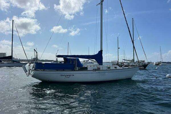 Photo of the 1980 Morgan 