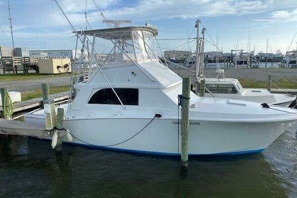 Photo of the 1985 Bertram 