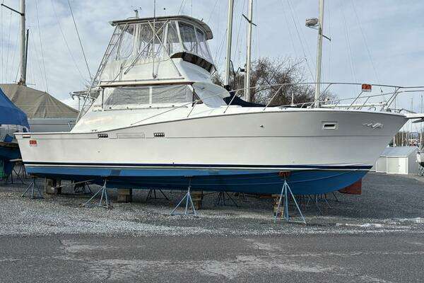 Photo of the 1973 Viking Convertible "Prime Time"