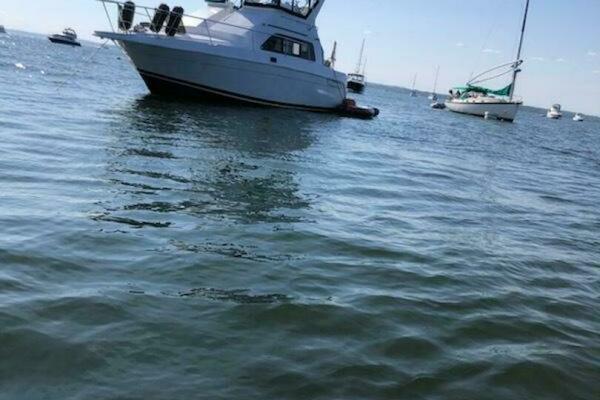 31ft Mainship Yacht For Sale 31ft Mainship Yacht For Sale