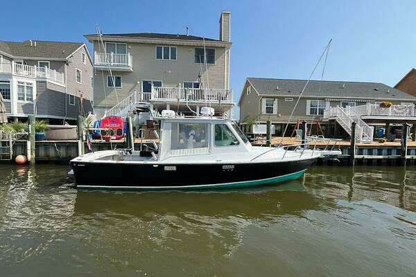 Photo of the 1986 Blackfin 27 Combi "CHEETAH"