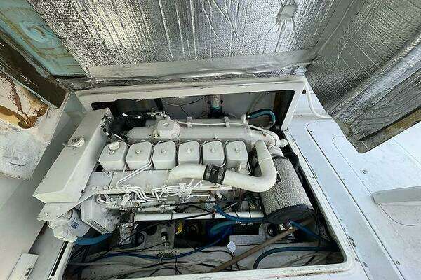 Photo of the 1986 Blackfin 27 Combi "CHEETAH"