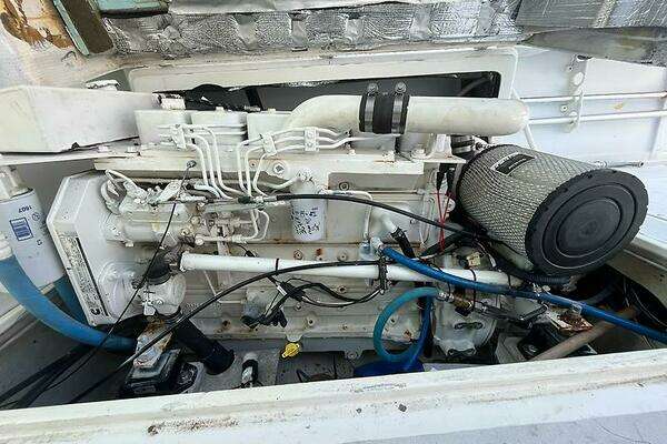 Photo of the 1986 Blackfin 27 Combi "CHEETAH"