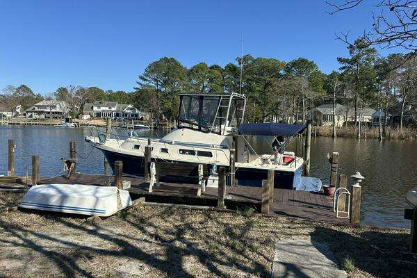 Photo of the 1998 Albin 32+2 "LADY WHALE"