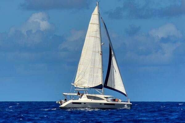 Photo of the 2015 Leopard  "Jubilee"