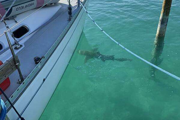 Photo of the 2001 Catalina 400 MKII "SHENANIGANS"