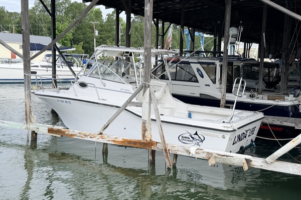 25ft Baha Cruisers Yacht For Sale