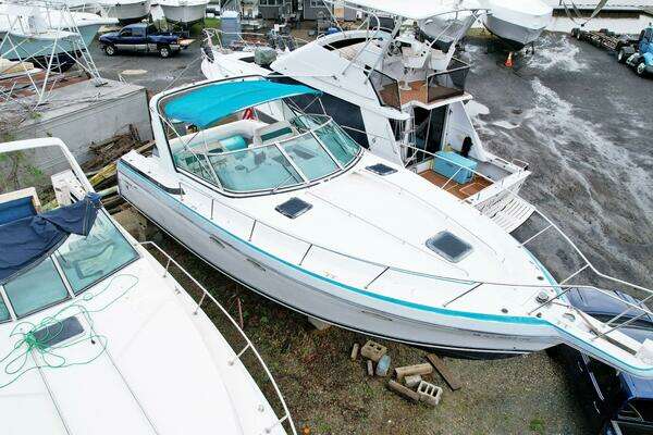 Photo of the 1990 Formula  "Drippin Wet"