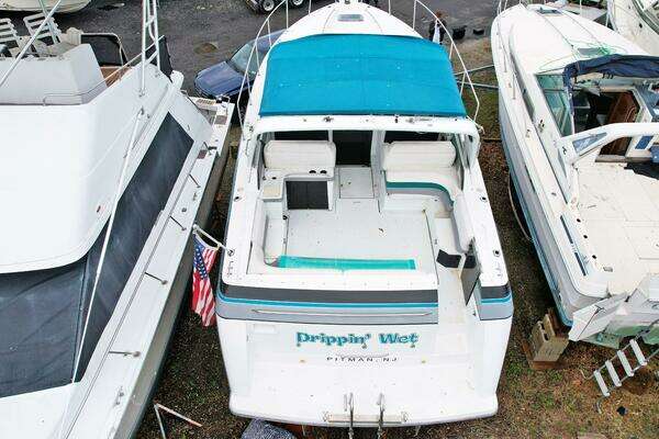 Photo of the 1990 Formula  "Drippin Wet"