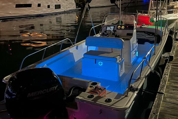 20ft Boston Whaler Yacht For Sale