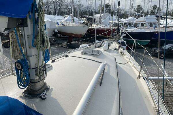 Photo of the 1989 Bayfield 