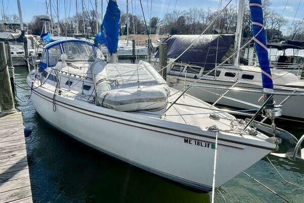 Photo of the 1986 Catalina 36 "Take Five"