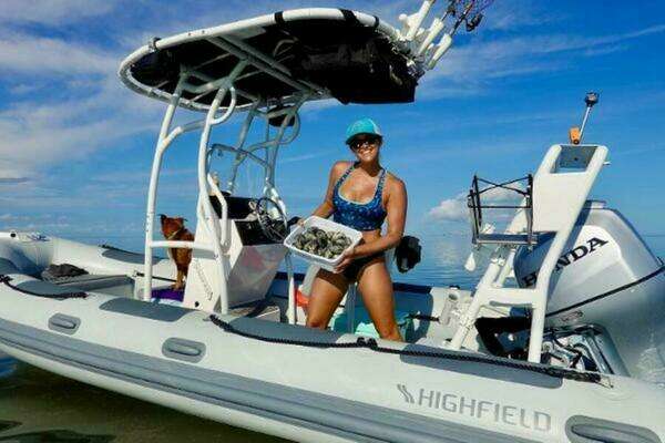 Photo of the 2025 Highfield Patrol 540